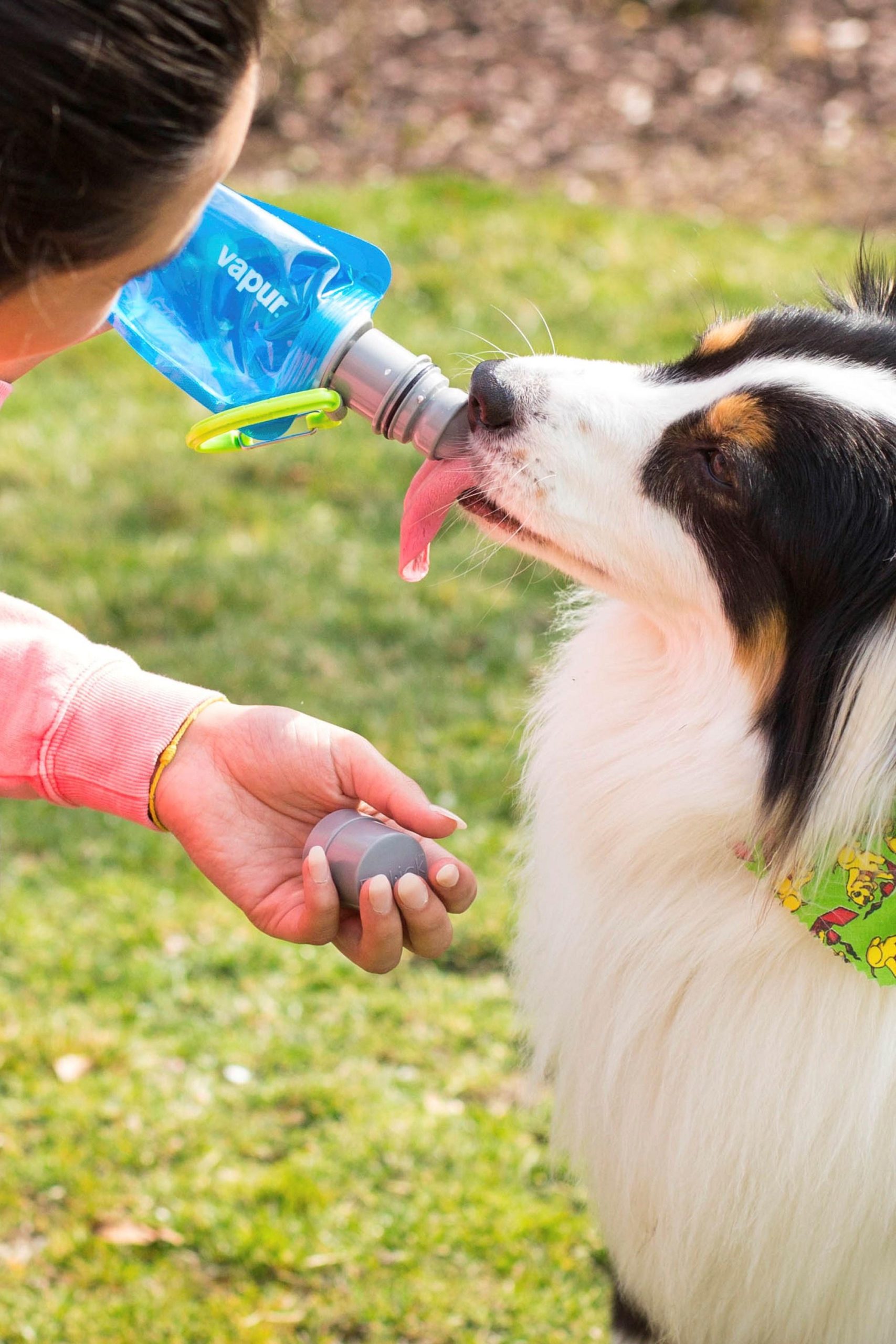 Fitness Equipment & Accessories |  700Ml Ez Lick Portable Dog Water Bottle