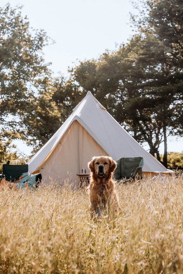 Tents |  4M Bell Tent Canvas 285Gsm Tents Sandstone