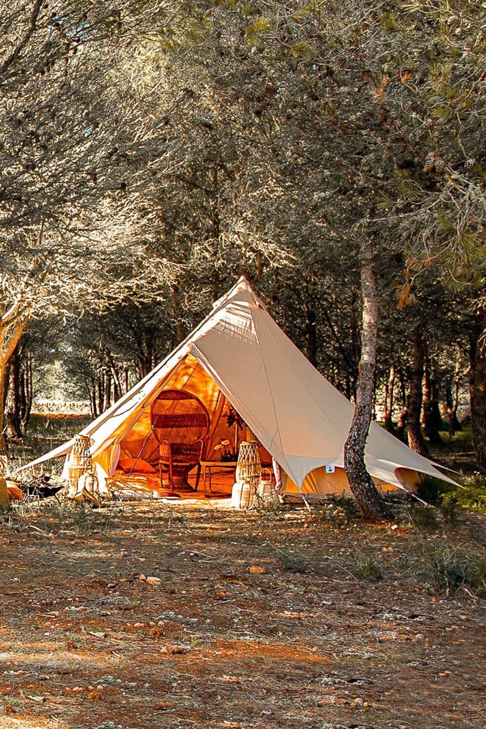 Tents |  5M Bell Tent Plus Canvas 285Gsm