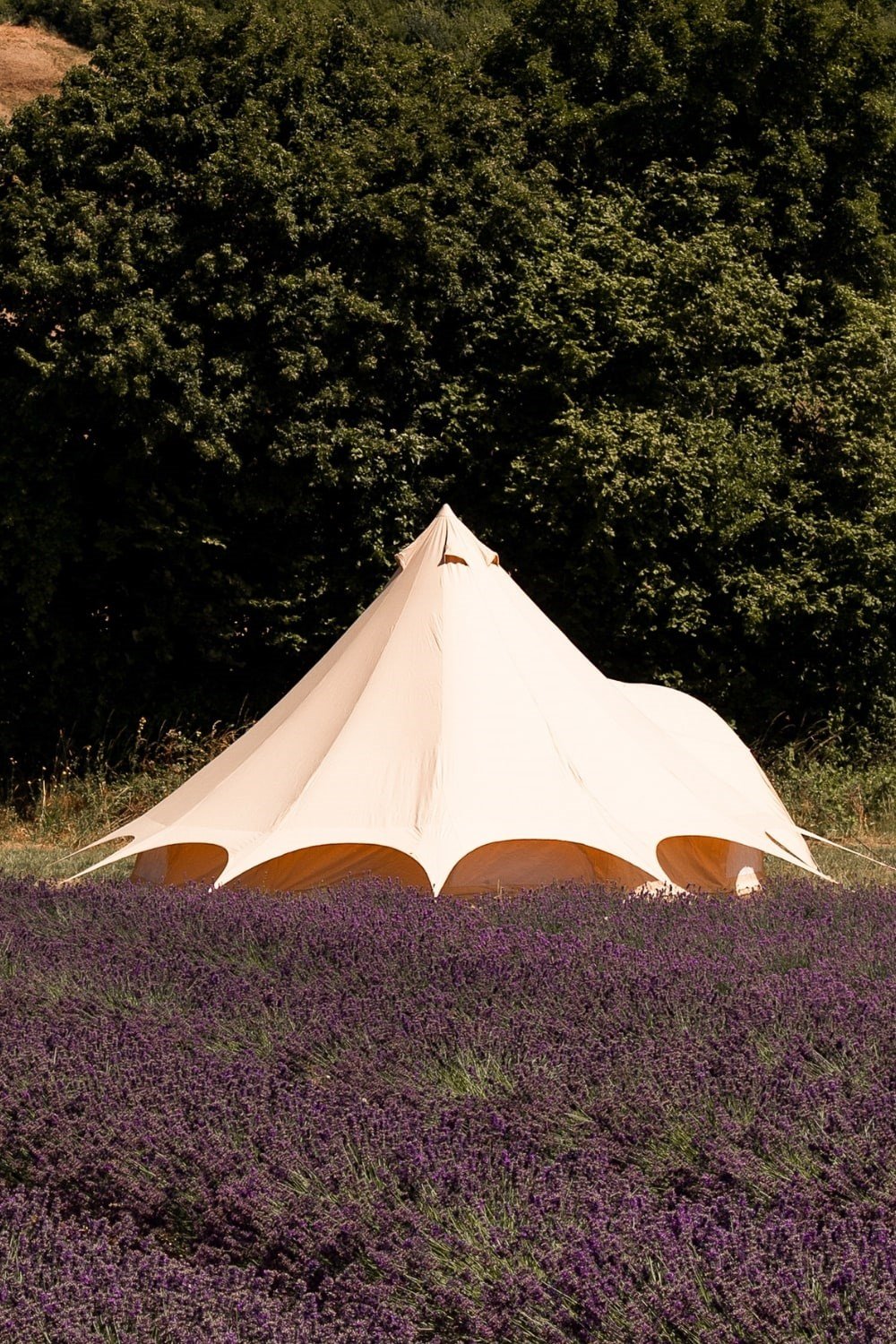 Tents |  5M Star Bell Tent Canvas Lite 200Gsm